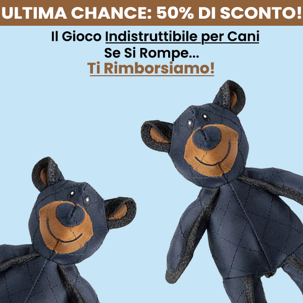 Orso Power - Il Pupazzo Indistruttibile (50% DI SCONTO)